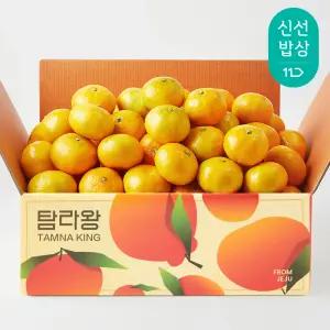 [탐라왕]제주도 조생감귤 4.5kg 로얄과