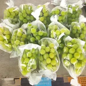 [유진농장]고당도 샤인머스켓 산지직송 20브릭스 2kg