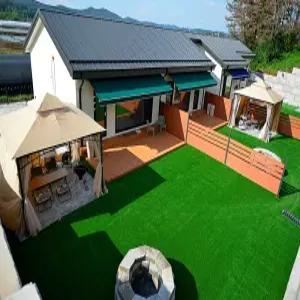 [충남] 개꿀잠(충남, 태안)