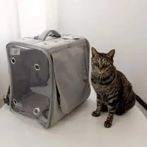 [콩심팥심]고양이 특대사이즈 이동장 백팩 뚜또가또 이동 슝슝