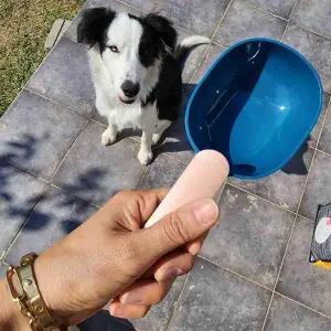 [콩심팥심]반려동물 사료삽 집게