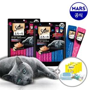 쉬바 멜티 12gx40p+캣닢쿠션+베베숲물티슈+템테이션12gx3개
