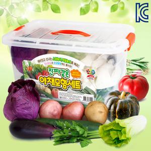 진짜같은야채모형세트 소꿉놀이 모형야채 시장놀이