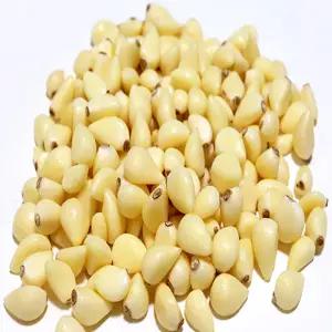 25년 토종 의성한지형깐마늘 1kg