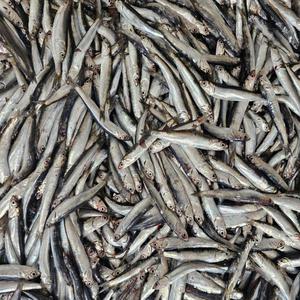 남해 쌈밥 조림용 손질 멸치 1kg 제철 2025년도 햇멸치 조림용 생멸치