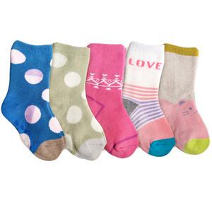 제제 5종세트 어린이 파일 도톰 초등학생 아동양말 주니어 여아