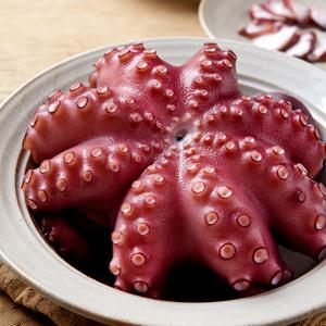 자숙 문어(특대) 1마리 1kg~1.3kg 내외  제수용 숙회 무침