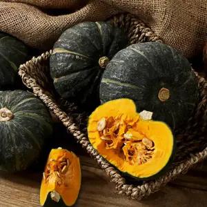 25년 국내산 제주 햇 미니 밤호박 단호박 3kg(특품) 보짱 보우짱