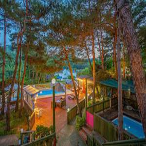 [강원] 횡성 머쉬멜로우 풀빌라(반려견 동반가능)(강원, 횡성)