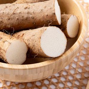 국내산 햇마 장마 알뜰형 2kg 산마 참나 안동마 진주마 뮤신