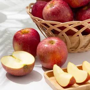 [더조은] 경북 감홍사과 실속형 10kg 쥬스용 랜덤과