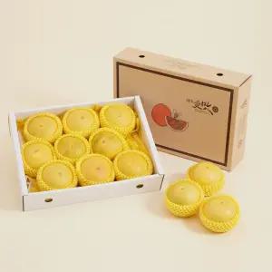 명절 과일 선물세트 설날 감귤 한라봉 천혜향 레드향 혼합 3kg