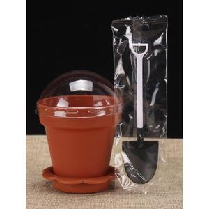 종이트레이 푸딩 베이킹 포장 화훼 몰드 케이크 화분 화분컵케이크 용기 다육이 뚜껑