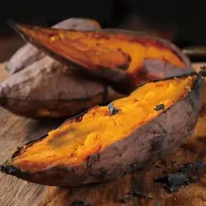 G [영암직송] 신풍종 햇 호풍미고구마 10kg 특대