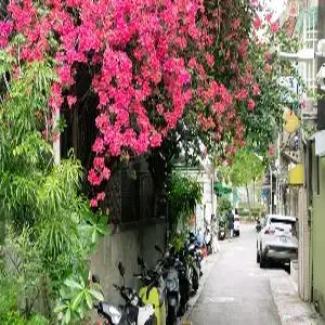 [休in온천] 타이베이 자유여행 4일#베이터우온천 #메트로텔2박+스프링시티1박#가까운힐링#여행자보험#포켓와이파이