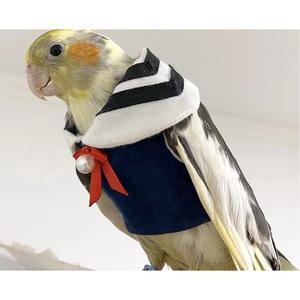 귀여운 선원 중소형 비행복 새들 앵무새옷 교복 년 봄가을 시작 금강 앵무새 맞춤