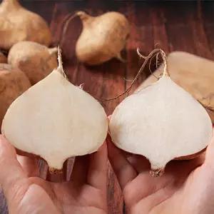 [롯데백화점]남도사랑 베트남 수입 히카마 10kg