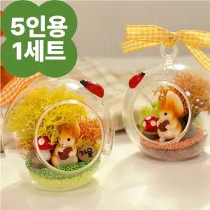 가을 만들기 키트 5인용 모스 테라리움 다람쥐 미술 체험 활동 고학년 중학생 부모참여수업