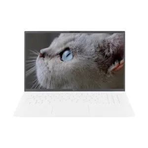 LG전자 LG그램 15ZD90S-GX56K WIN 11 설치