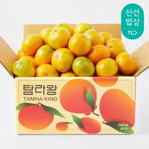 [탐라왕]제주도 조생감귤 3kg 로얄과