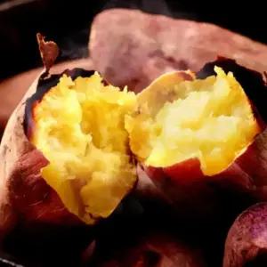 25년 해남 햇고구마 황토 꿀밤고구마 왕대 3kg 5kg