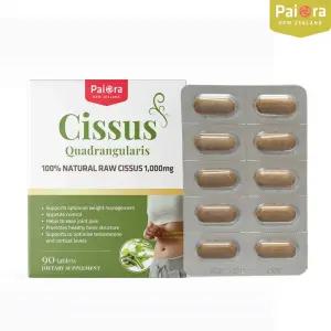 뉴질랜드 파이오라 시서스 1000mg 90 정 체지방감소 체지방분해 다이어트 보조제