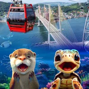 [11/1~11/30] 아쿠아플라넷 여수 + 해상케이블카 PKG