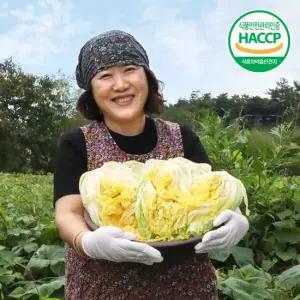[도착지정일가능][HACCP 인증] 해남 절임배추 20kg