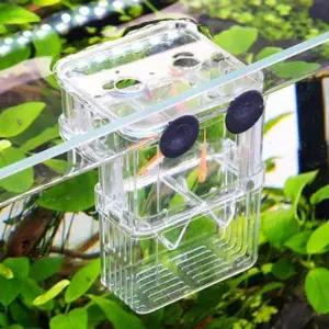 [콩심팥심]어항 열대어 구피 소형 치어 부화 격리 물고기 통