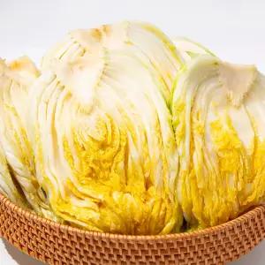 [지정일발송] (HACCP인증) 해남 김장 절임배추 20kg (7-10포기) 예약발송