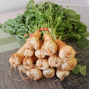 알타리 총각무 3.5kg내외 3단 자연대로팜웨이