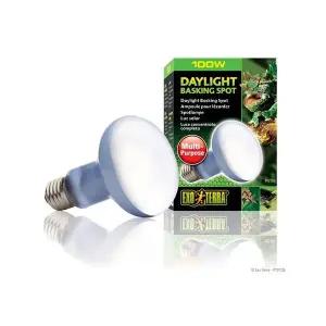 엑소테라 바스킹 데이라이트스팟 100W
