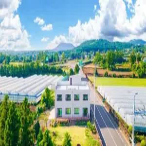 [제주] 제주 춘자네 펜션(제주펜션/서귀포펜션/서귀포제주 춘자네 펜션)