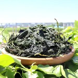 국산 25년 햇 곤드레나물 300g 건곤드레 말린 곤드레