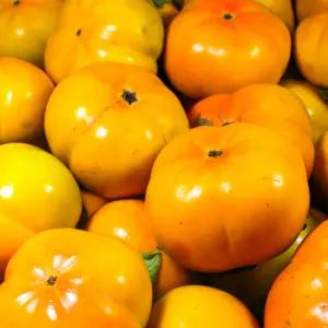 국내산 차량 부유 진영 단감 대과 5kg 25과 내외