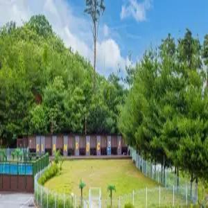 [강원] 양양 글램독 애견펜션(강원펜션/양양펜션)