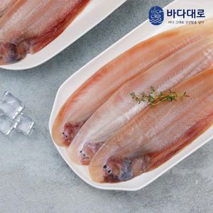 바다대로 신선하고 맛있는 군산 박대(서대) 10미