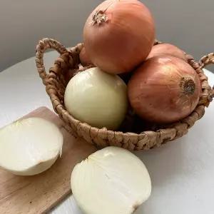 국내산 햇양파 단단하고 알싸한 양파 2kg 장아찌용 소 정품 중대 특대