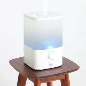 레이나 미니 복합식 가습기 통세척 사무실 소형 4L 가습기 RH-4524