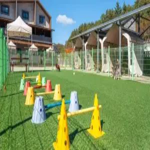 [강원] 강릉 나인원 애견펜션(강원펜션/강릉펜션)