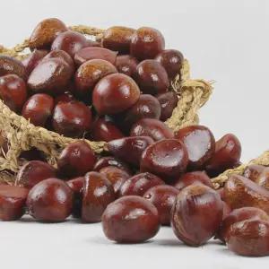 광양 백운산 햇밤 5kg