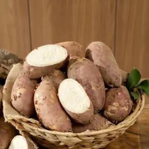 [특등급] 25년 햇 해남 황토 밤고구마 3.5kg x 2box (총 7kg)