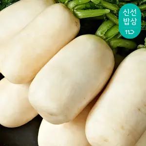 [품질보장]국내산 청정지역 3번 세척 깨끗한 알타리절임 11kg 약 5단/예약판매중