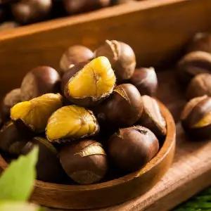 공주 밤 칼집 1kg 대