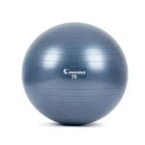 전신 스트레칭 운동이 가능한 75cm 안전한 짐볼 여친선물 아내선물 엄마선물 효도선물 헬스용품