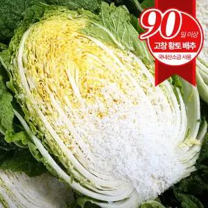 [고창직송] 예약배송 국내산 절임배추 20kg (7~9포기)