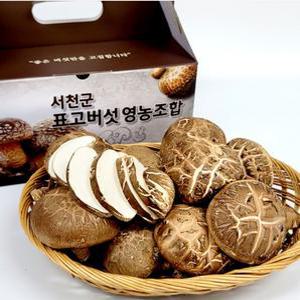 서천 무농약 친환경 생 표고버섯 중품 1kg 선물세트