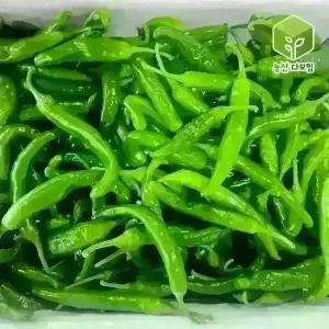 풋고추 아삭이고추 오이맛 오이고추 상 10kg