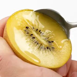 [품질보장][1.2kg내외] 제스프리 골드키위 9입 (개별 140g내외)