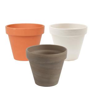 갑조네 독일토분